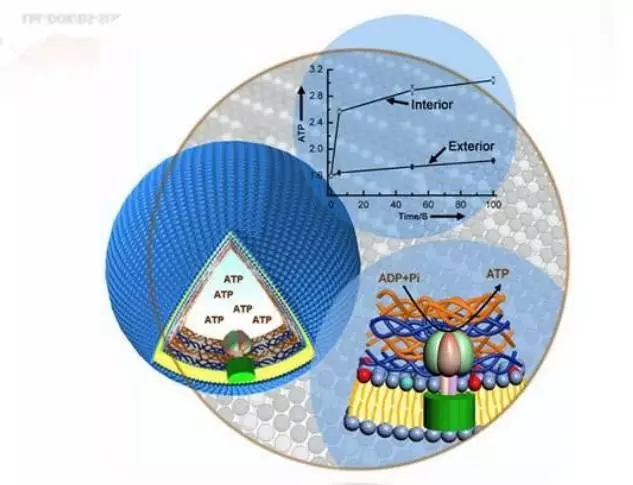 微膠囊技術在車用聚氨酯膠粘劑中的應用設想